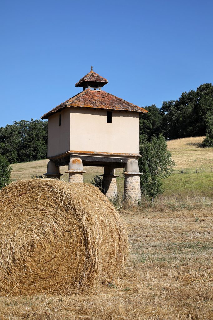 pigeon loft