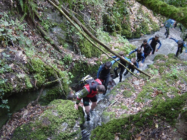 Nos accompagnateurs