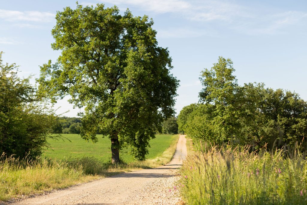 Causse van Villeneuve