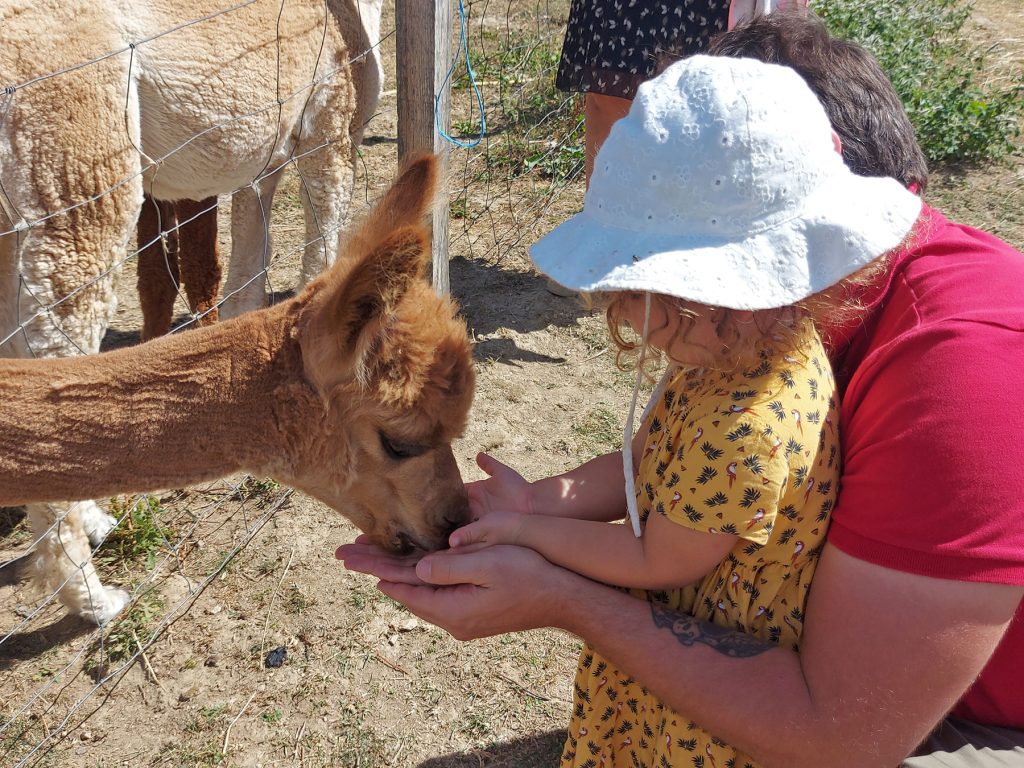 Duprem Alpaca, Maleville