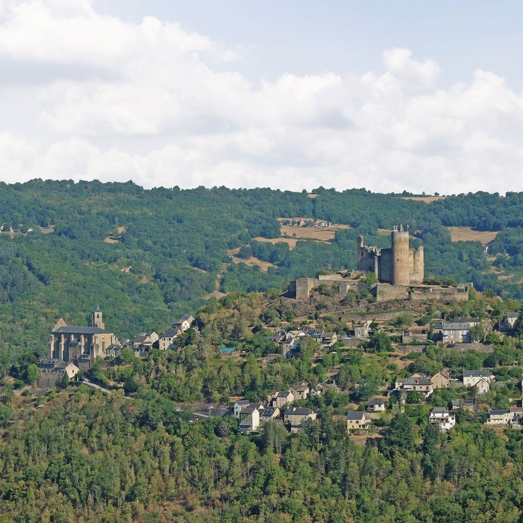 Caminata por el bosque de castaños