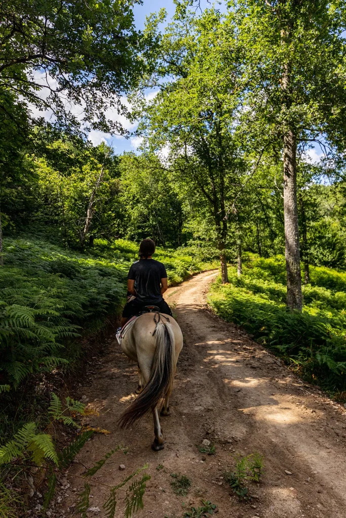 Balade à cheval dans les gorges de l'Aveyron