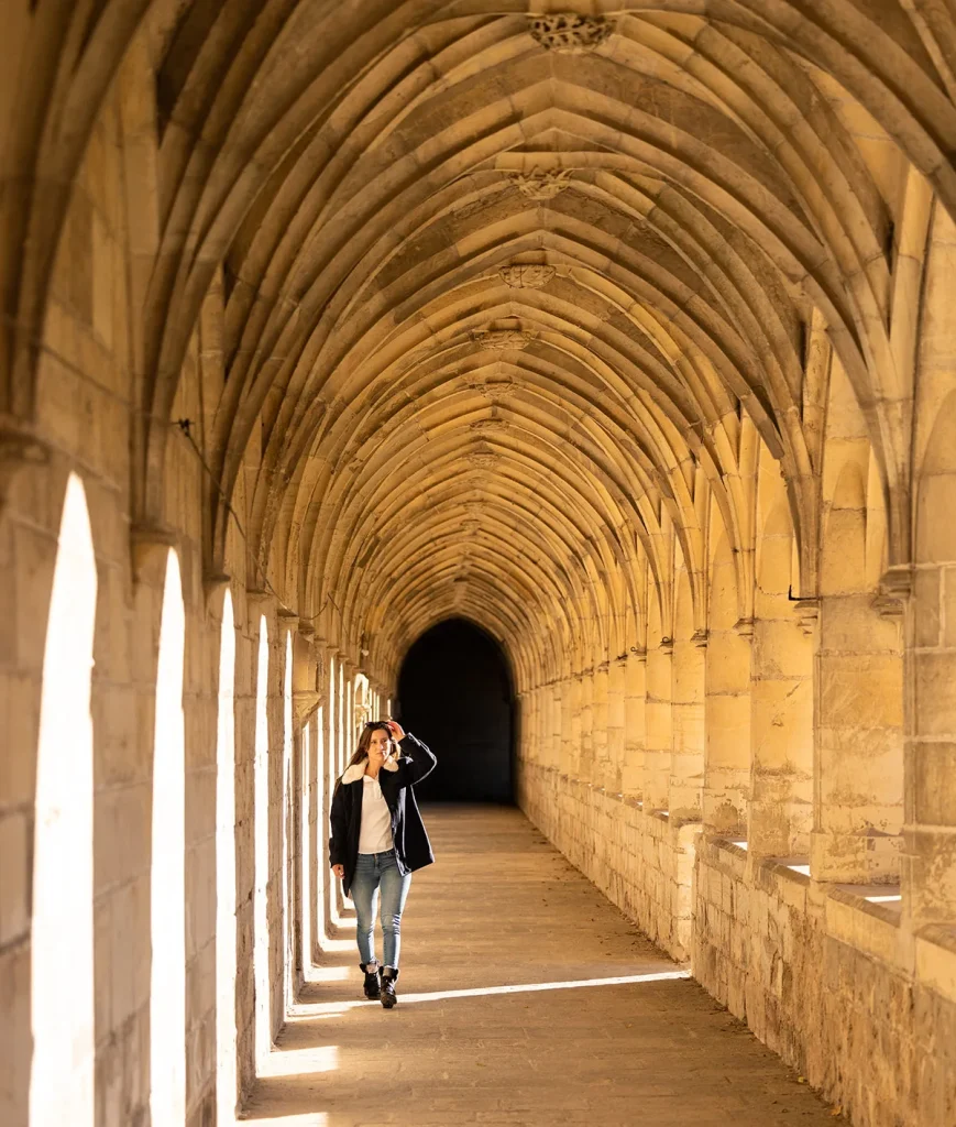 Cloister of the Saint Sauveur Charterhouse