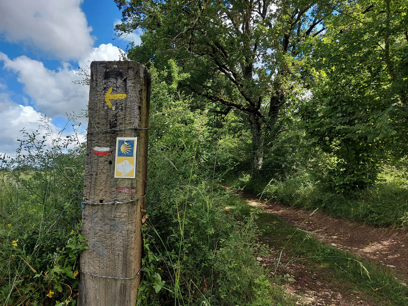 Paseo por la naturaleza en el causse de Villeneuve d'Aveyron