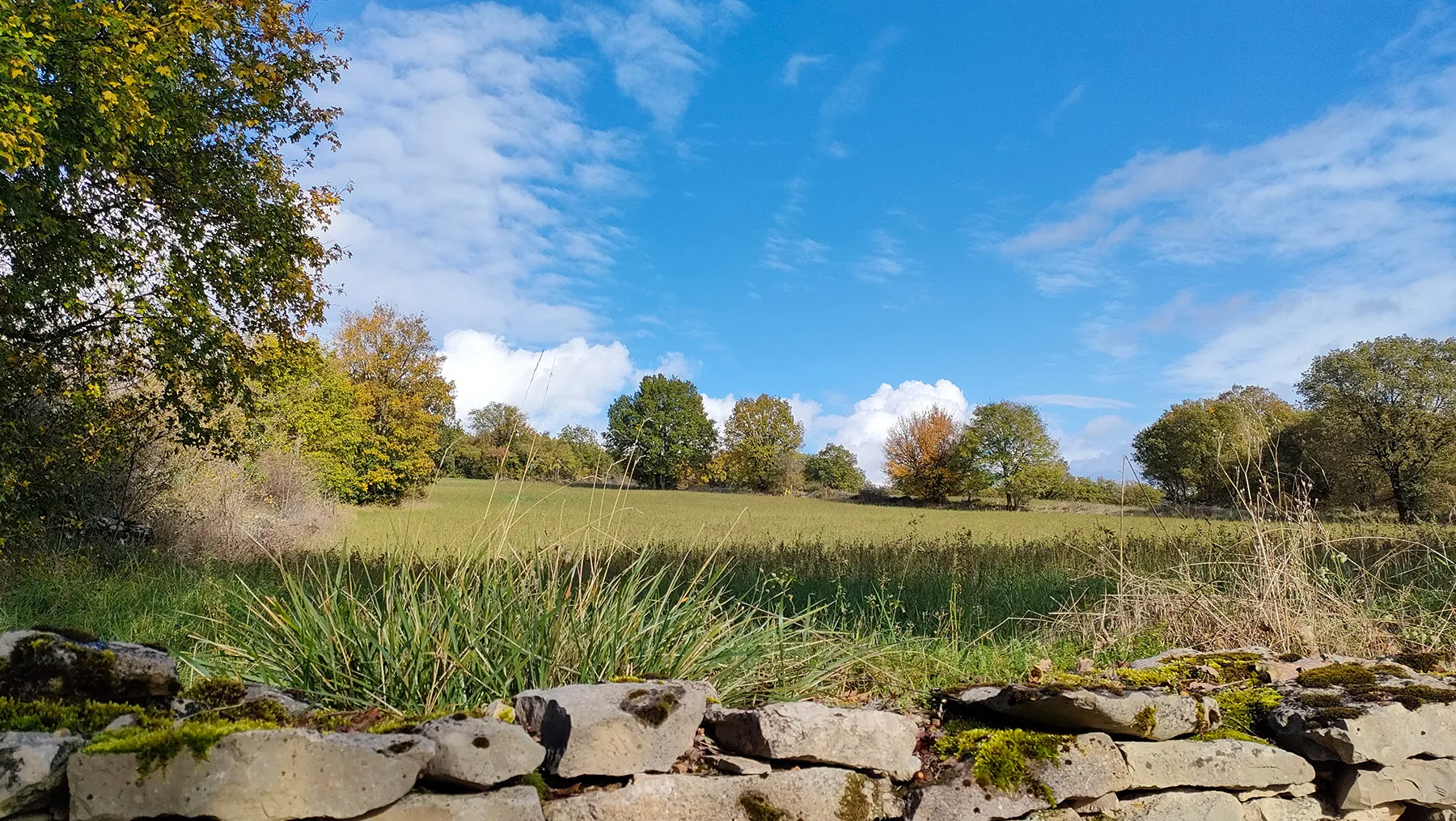 Paseo por la naturaleza en la Causse de Villeneuve