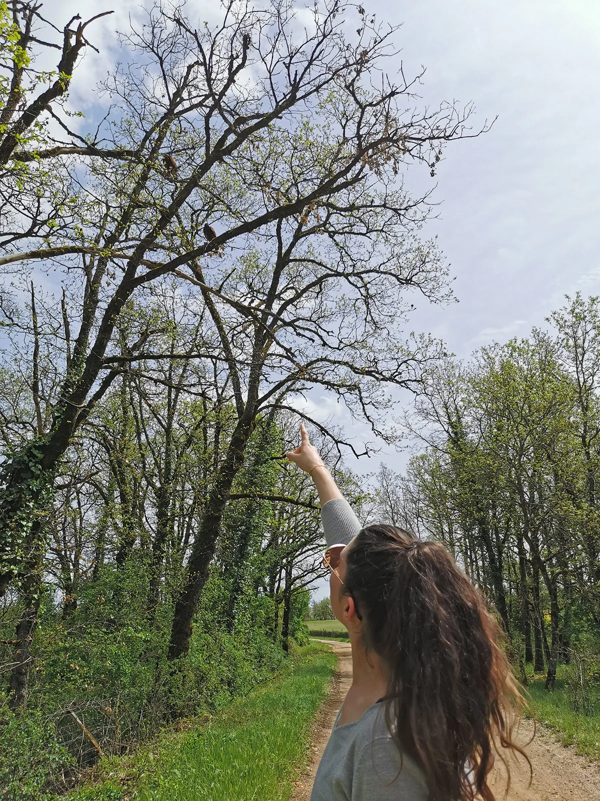 Initiation to falconry with the Horts of Walhalla, follow-up walk