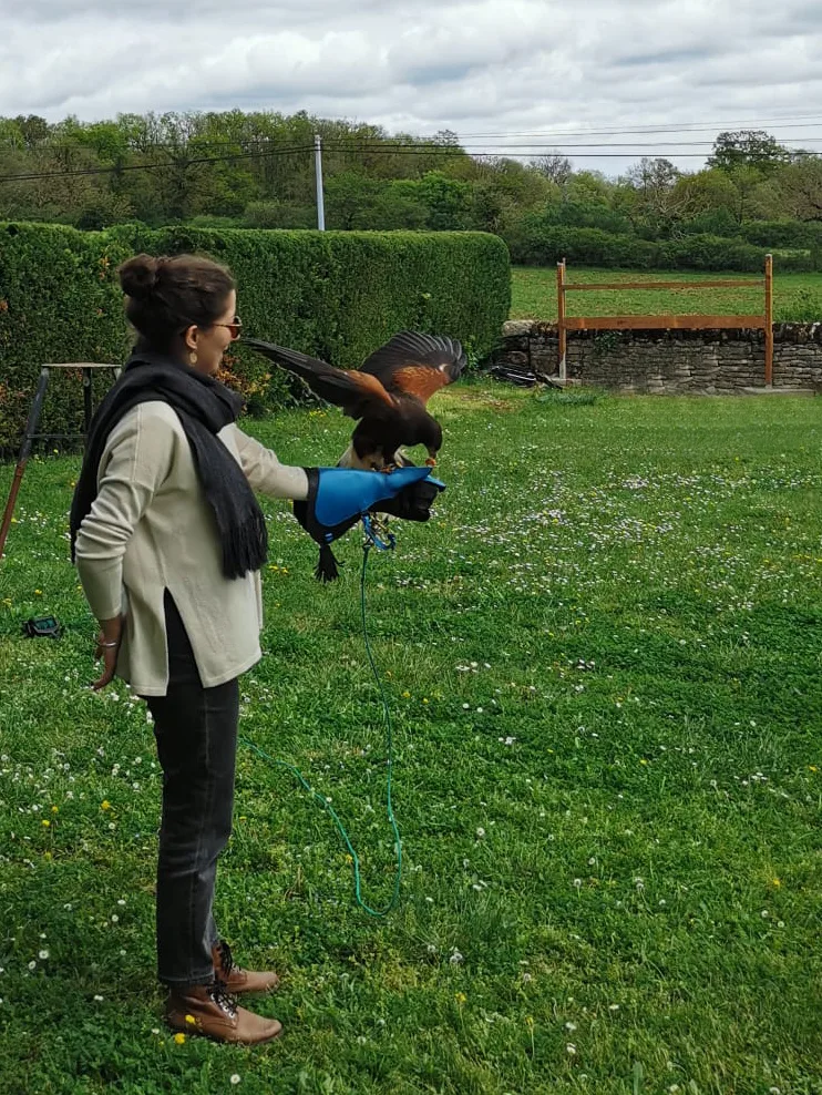 Introduzione alla falconeria con gli Horts di Walhalla