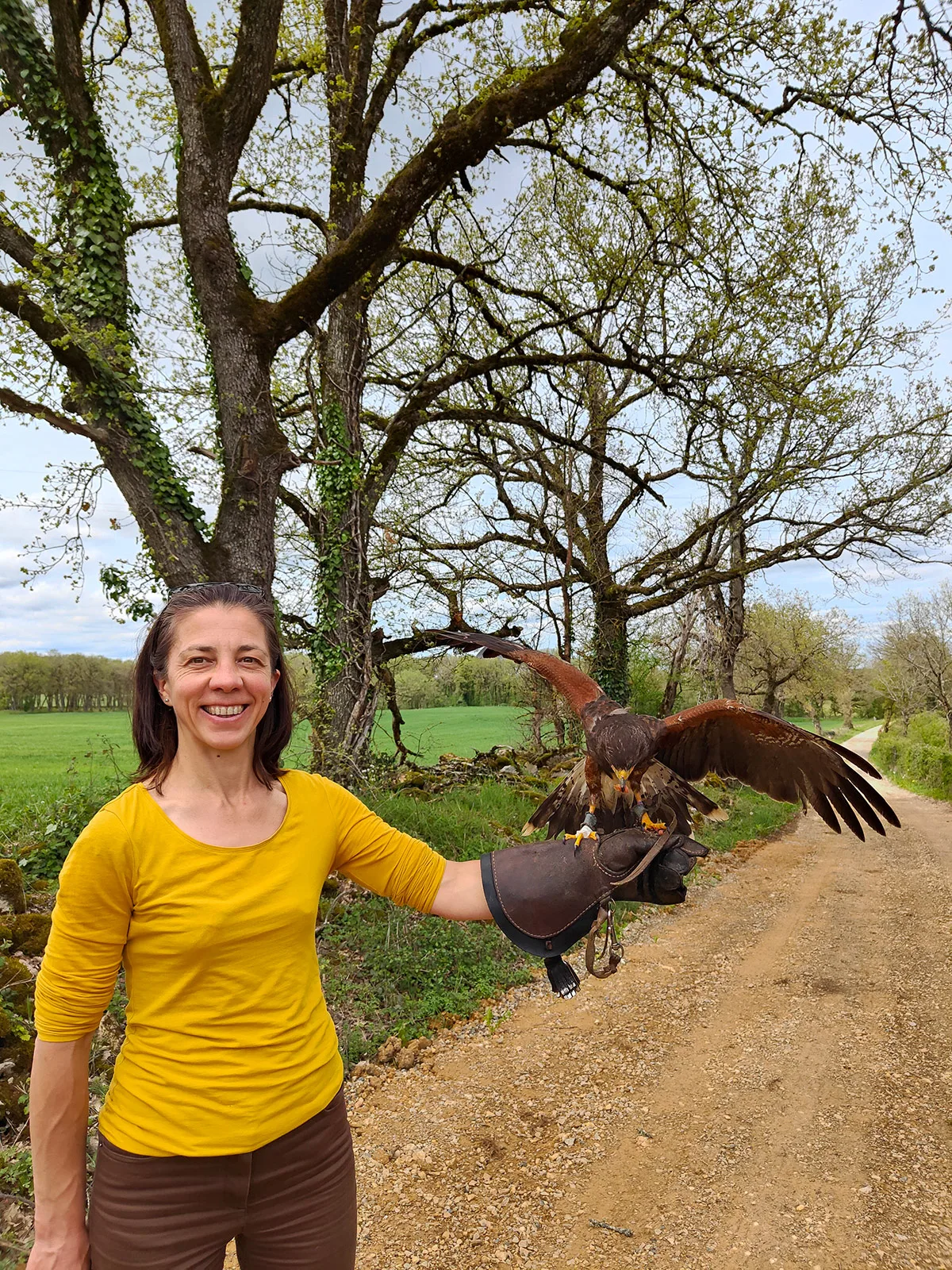 Introduction to falconry with the Horts of Walhalla