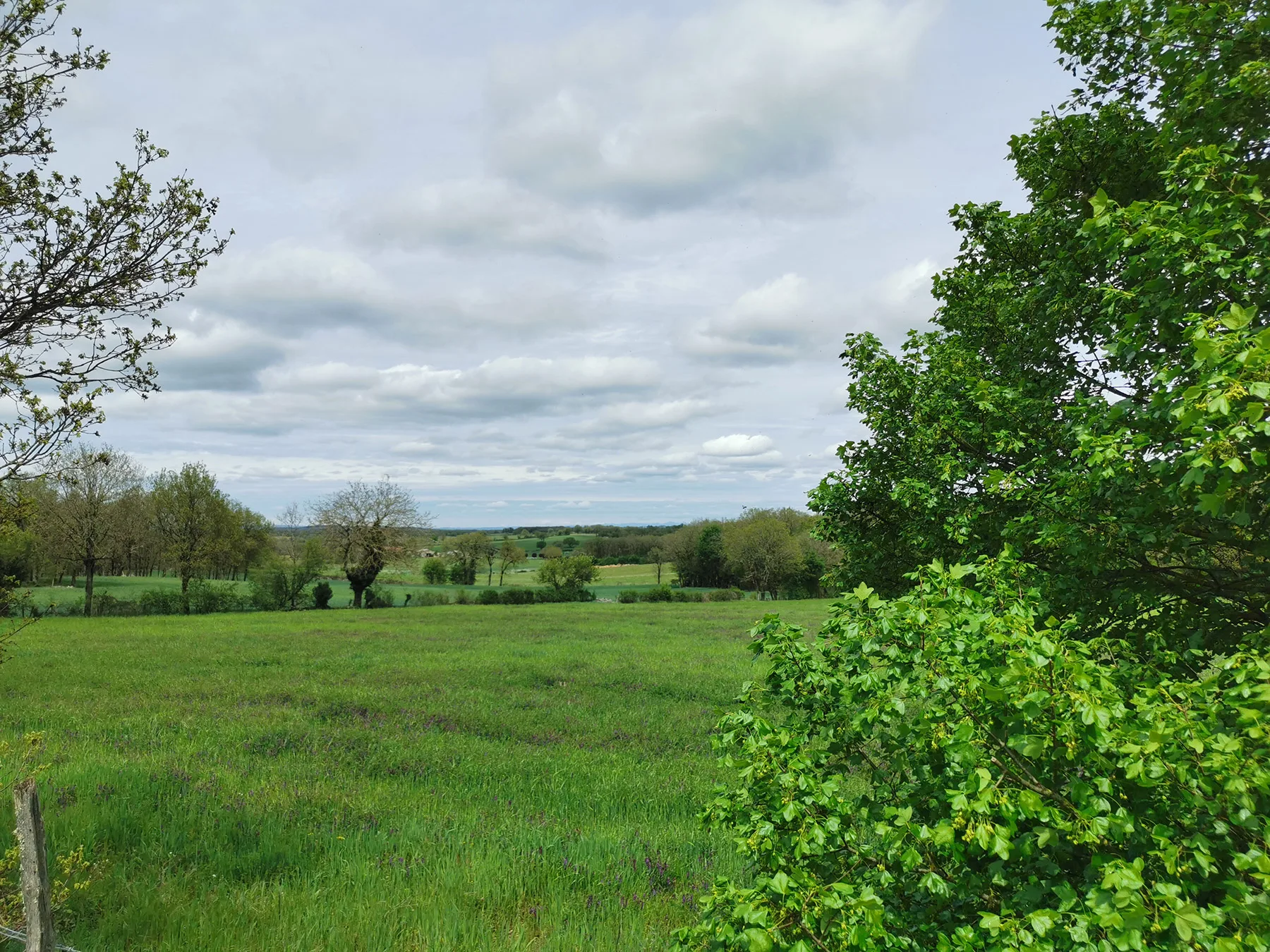 Landschaft des Causse de Villeneuve