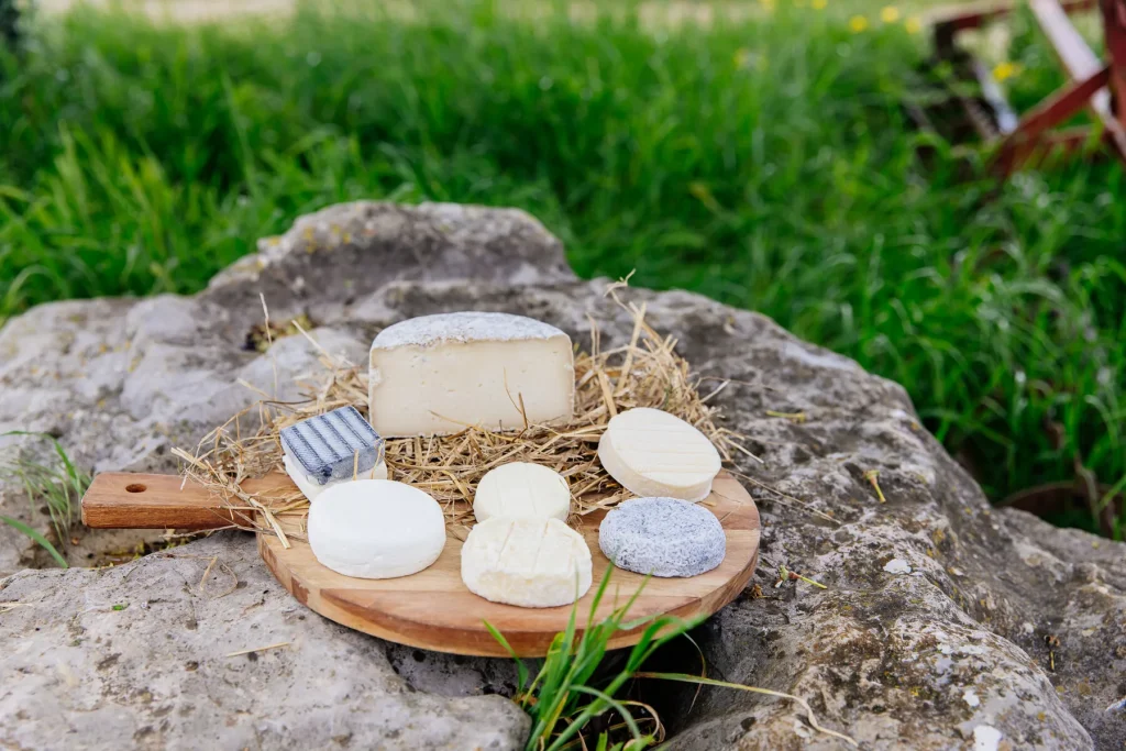 Fromages de chèvre