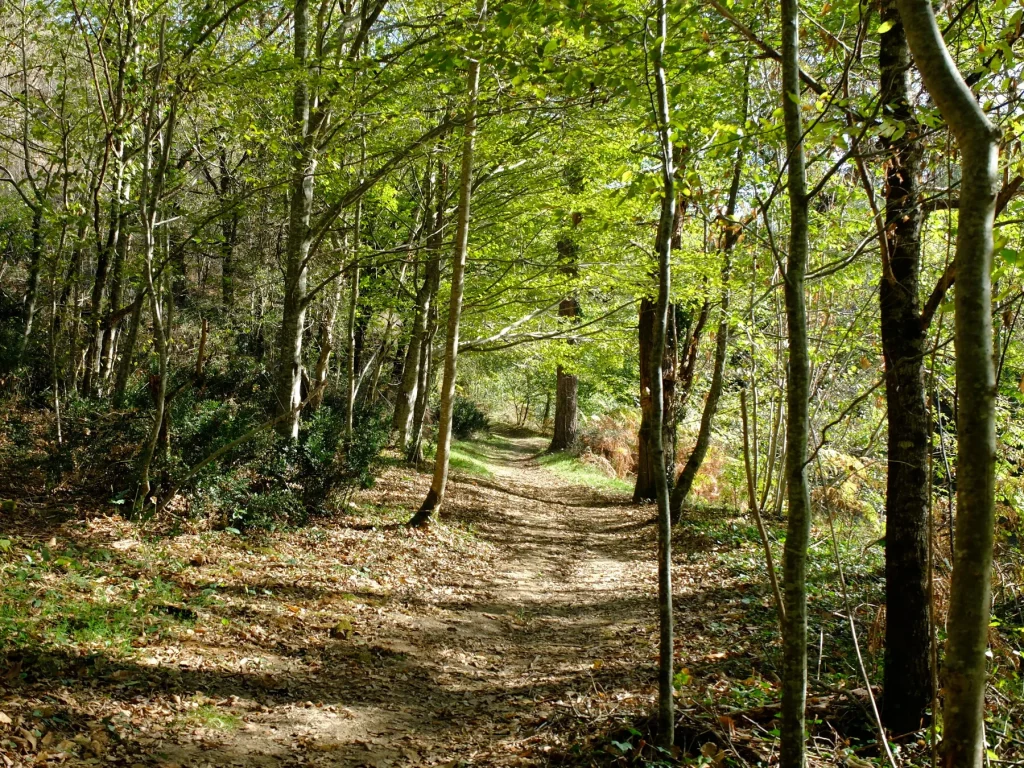 Wandelen in Bor-et-Bar