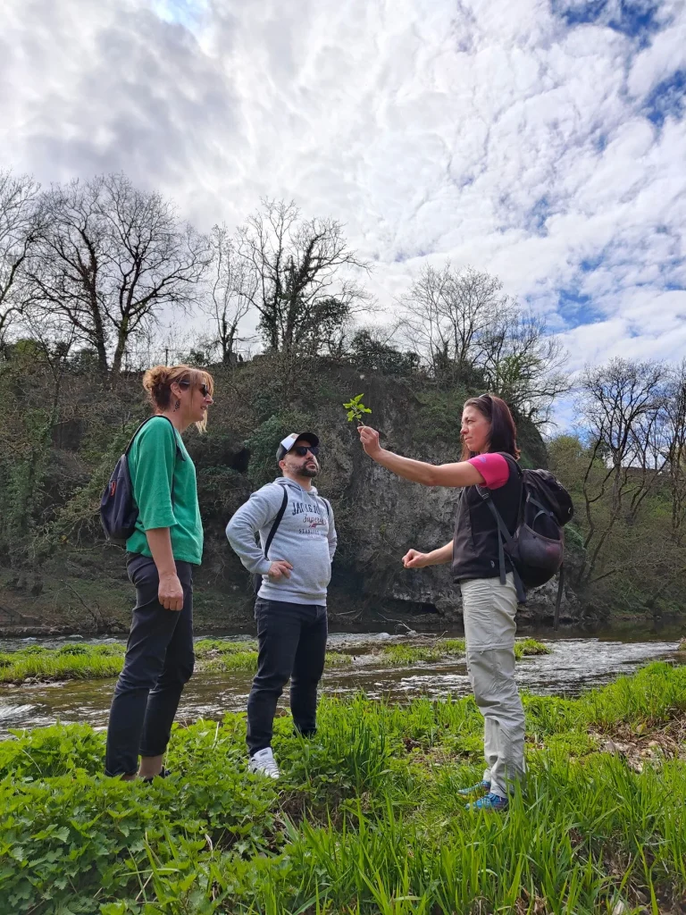 Paseo por la naturaleza