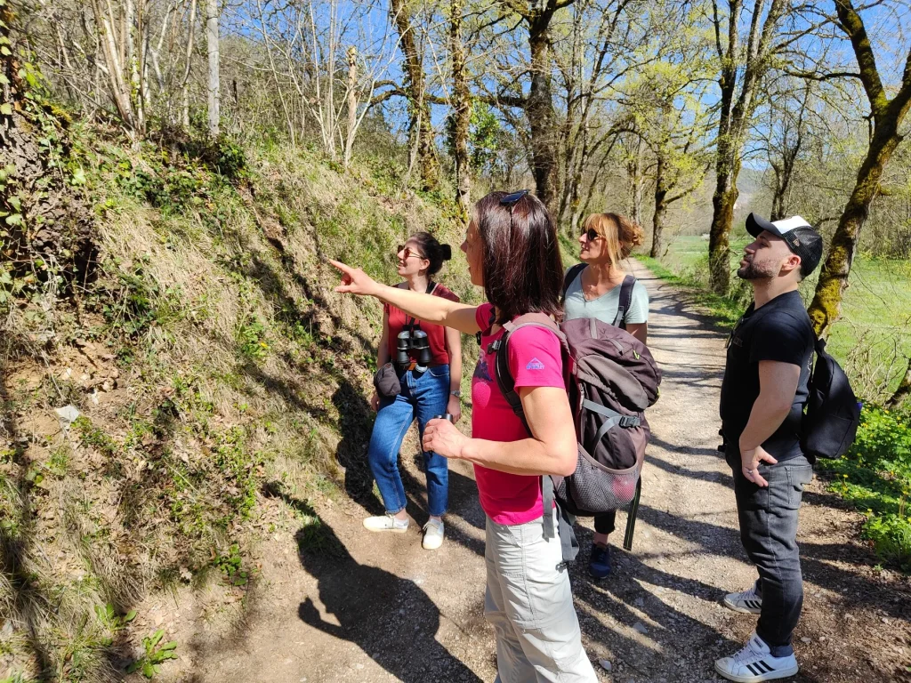 Camminata nella natura