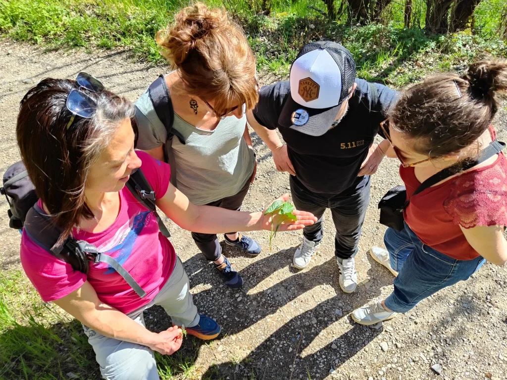 Camminata nella natura