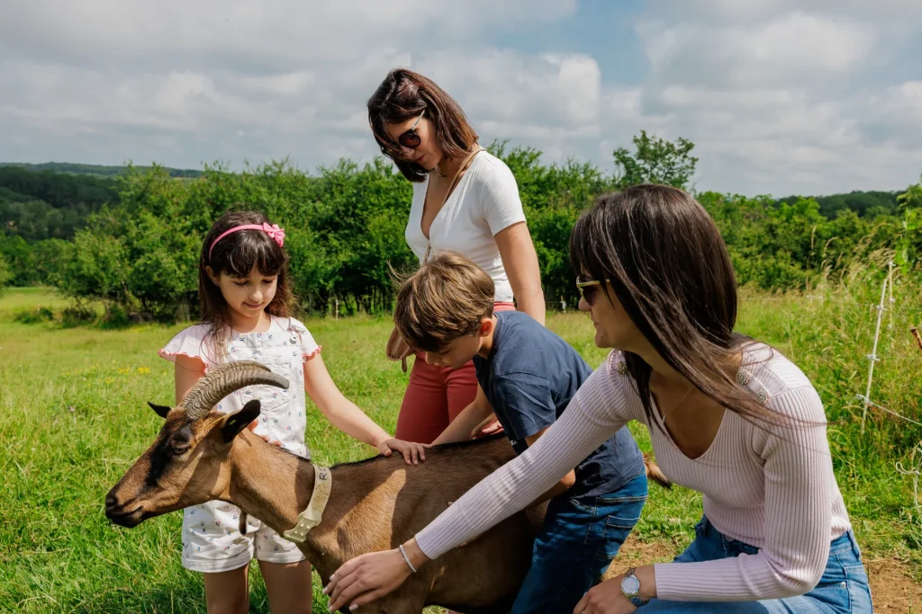 On the farm - Chèvrerie du Petit Compostelle