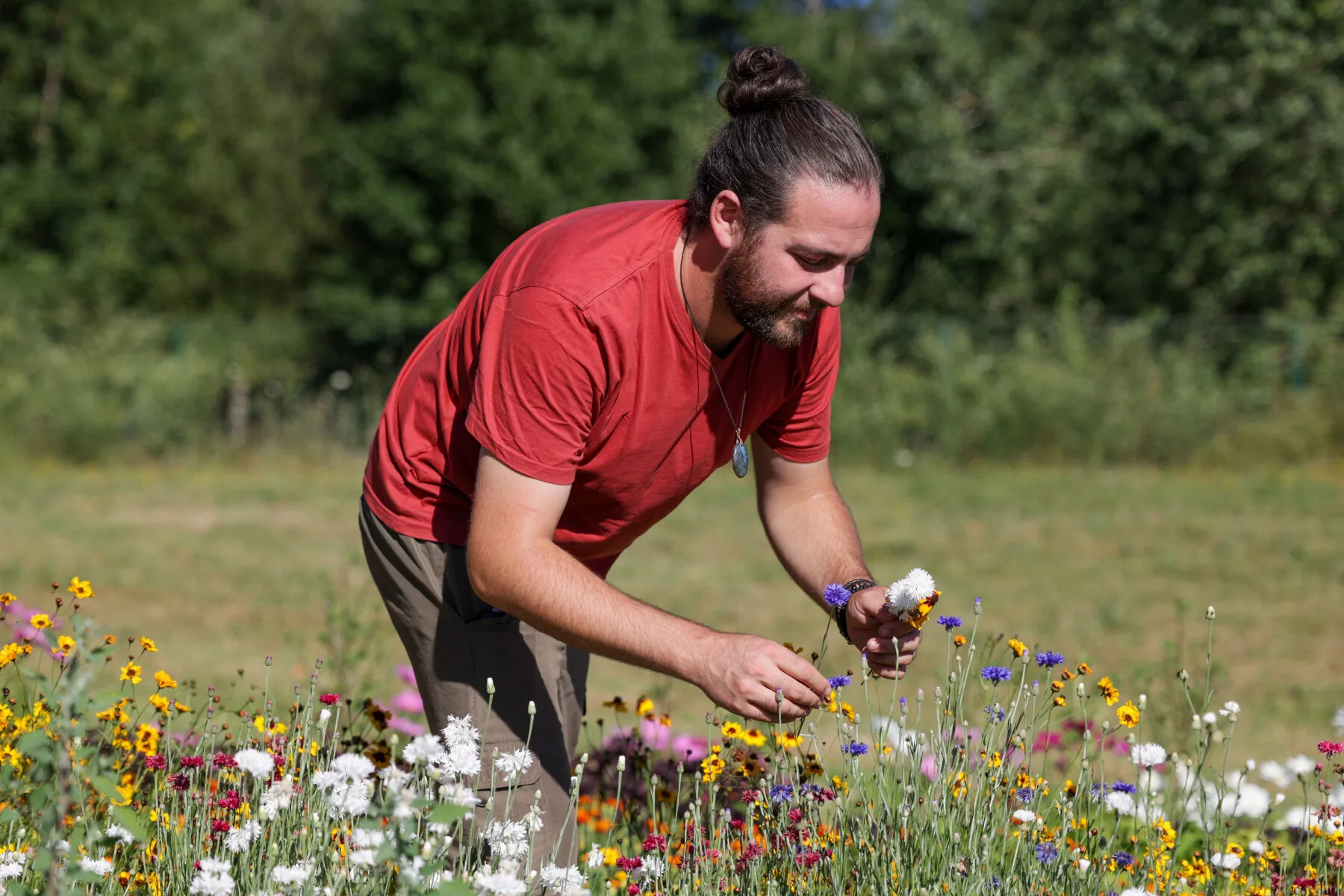 Les Jardins de l'Instant Végétal