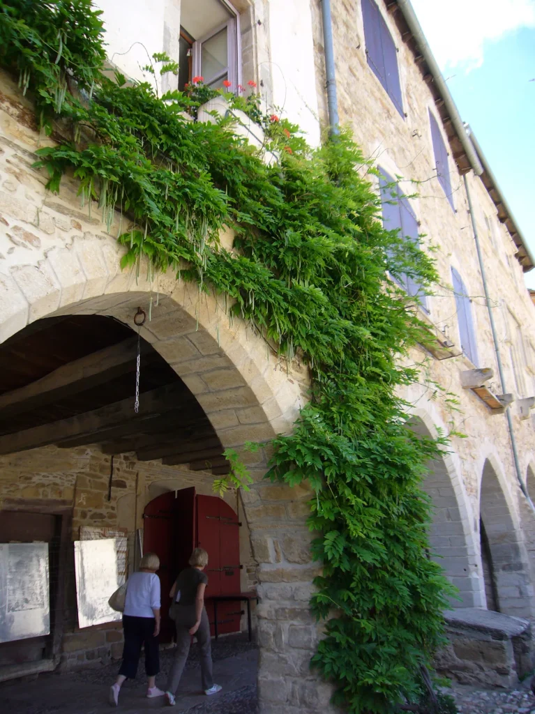 Façade maison, Places aux Arcades