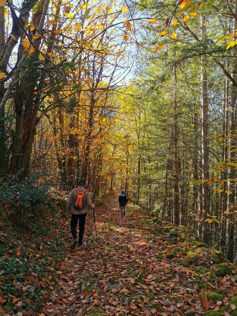 Randonnées à Bor-et-Bar en automne
