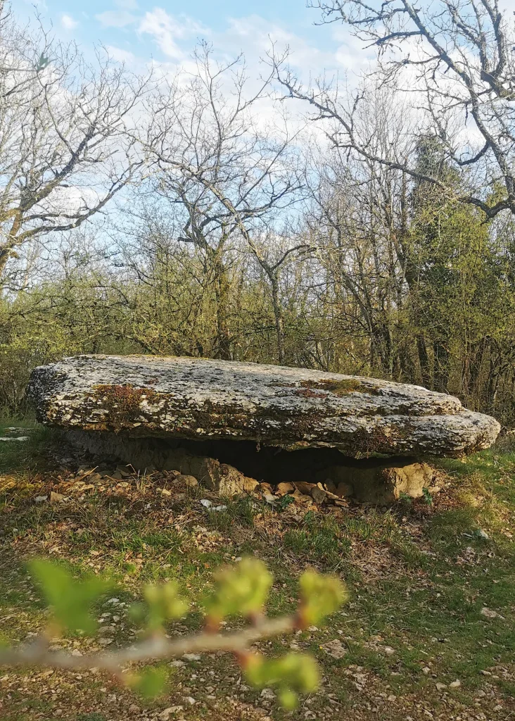 Circuit des dolmens de Laramière