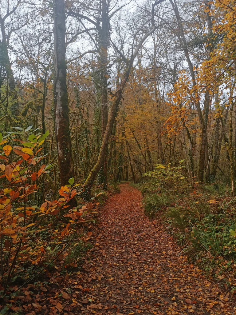 Randonnée "Najac, un village perché" en automne