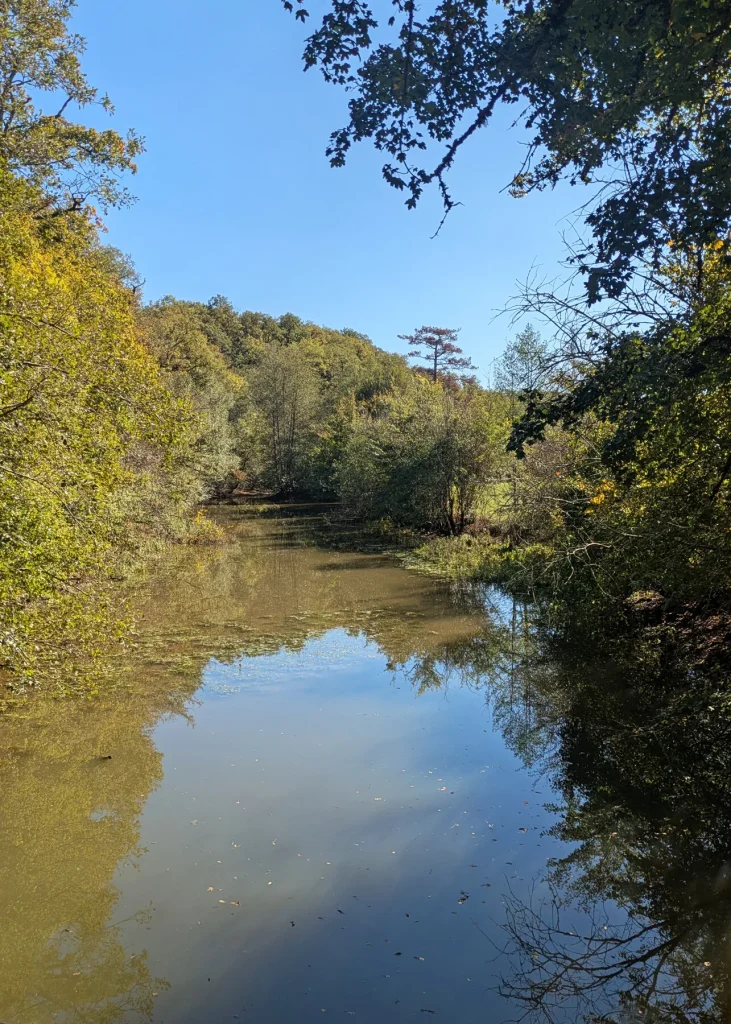 Etang à Saint-Rémy