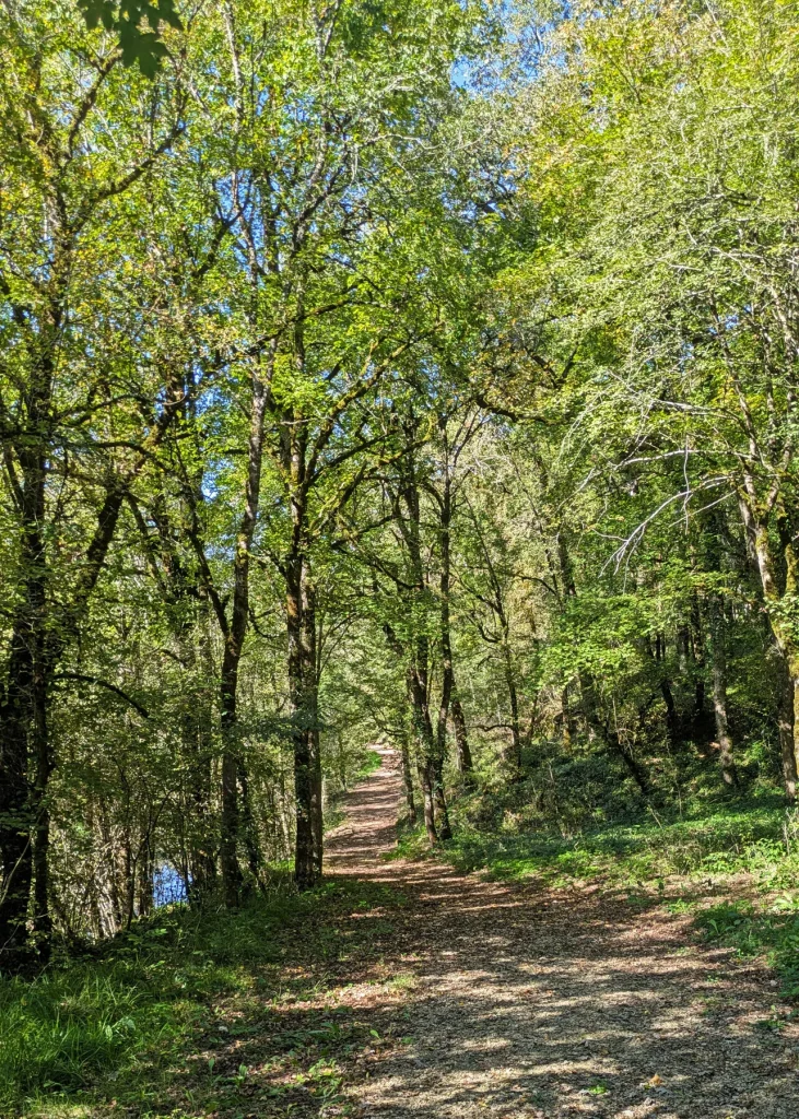 Chemin à Saint-Rémy
