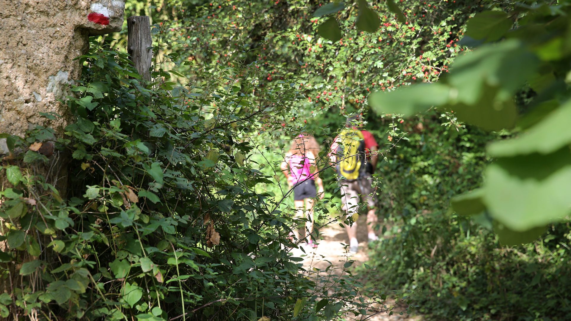 Wandeling rond Villefranche de Rouergue