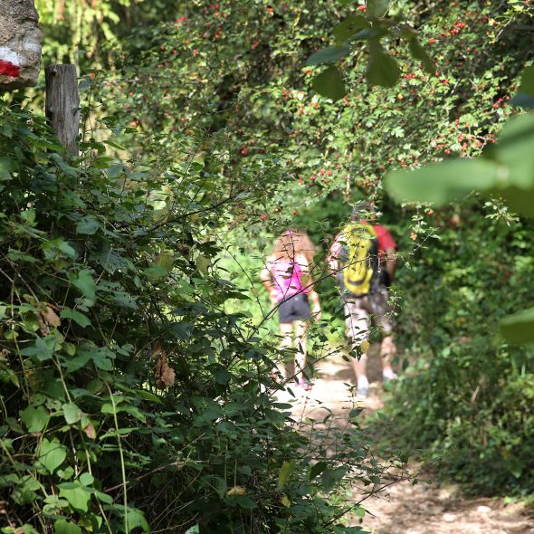 Randonnée autour de Villefranche de Rouergue