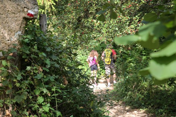 Wandeling rond Villefranche de Rouergue