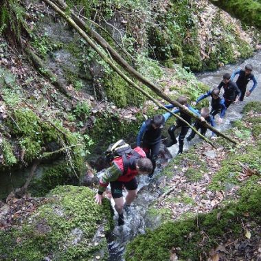 Nos accompagnateurs