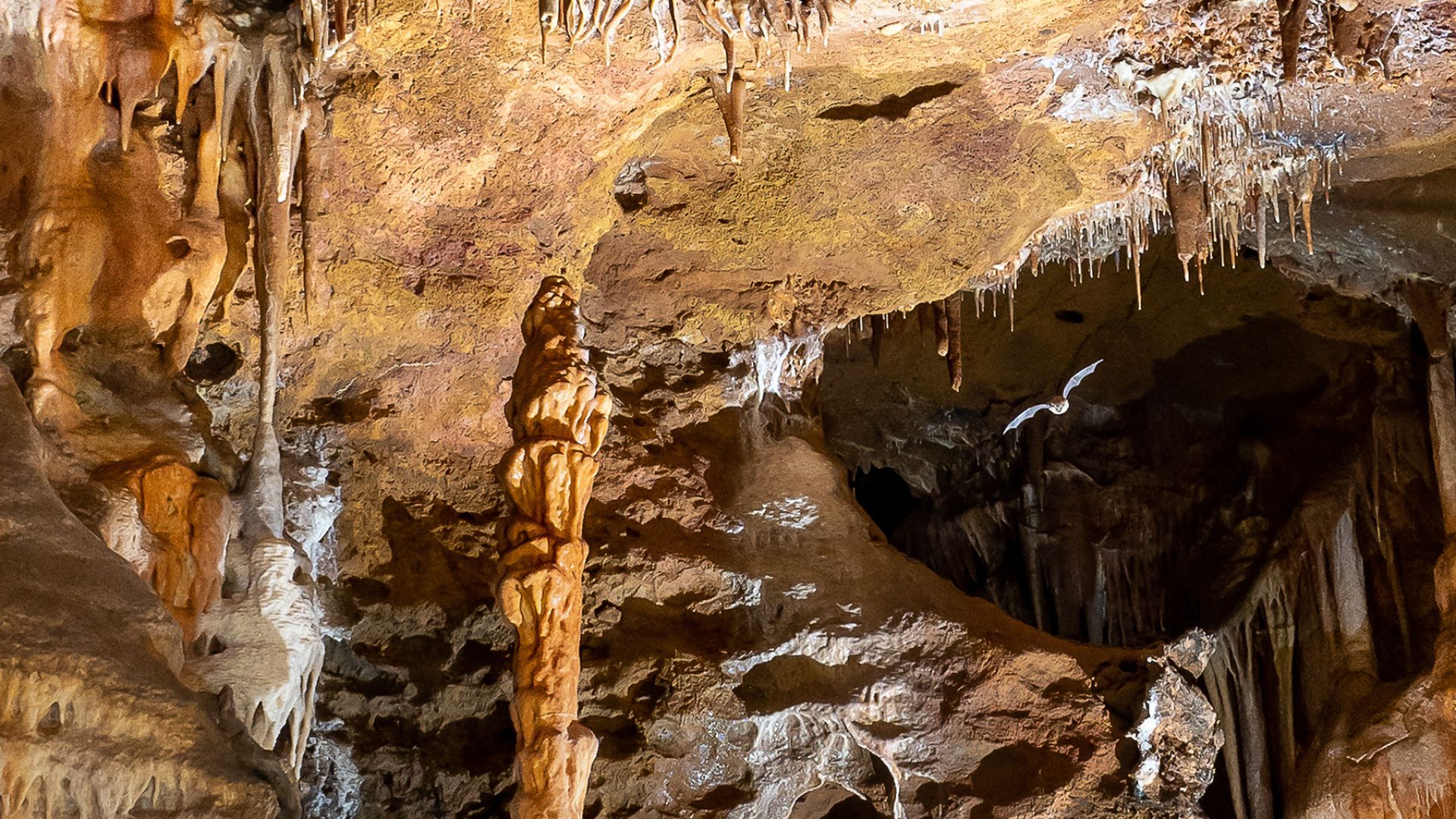 concrétions grotte du bosc