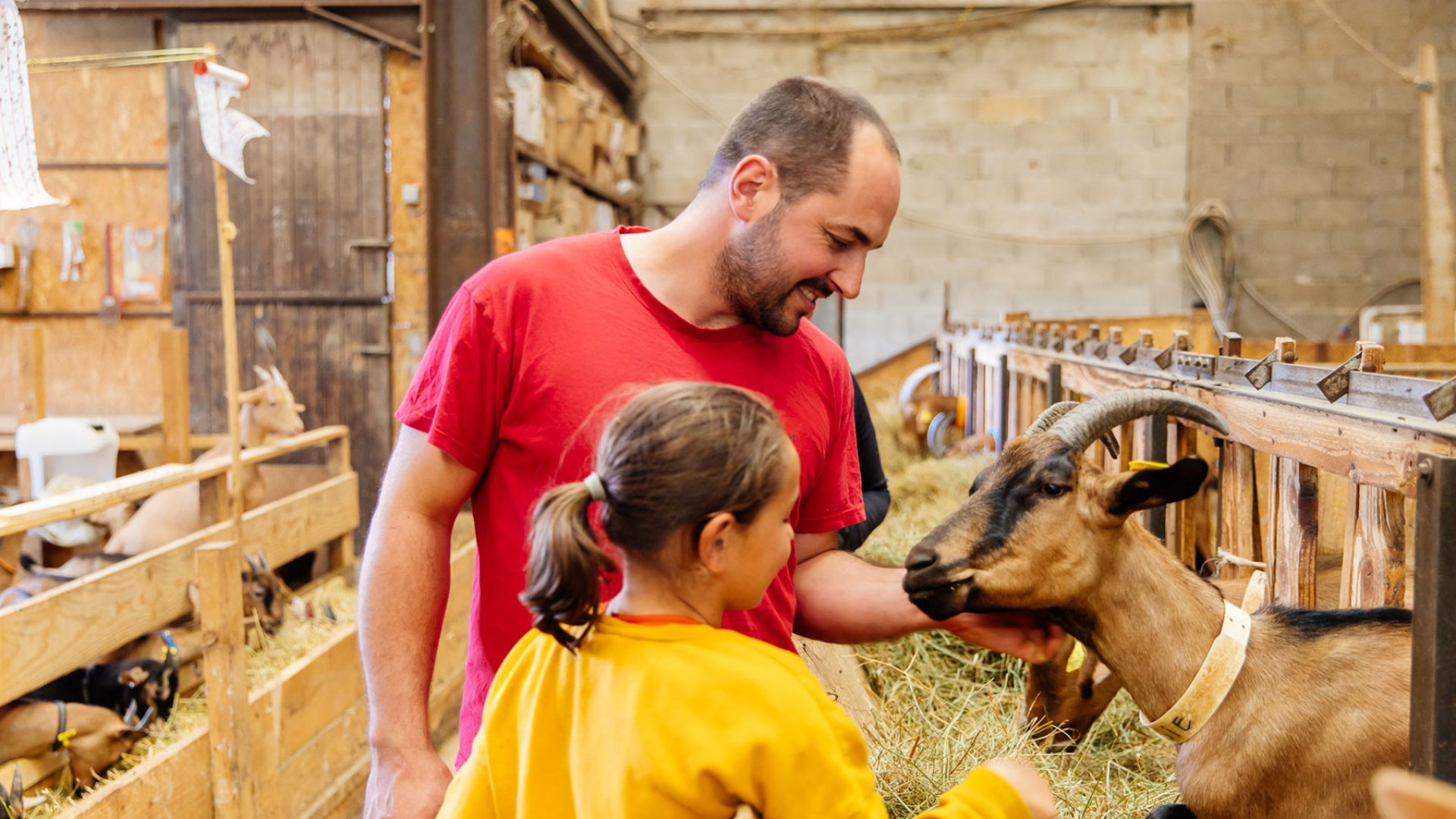 Ferme d'un producteur aveyronnais