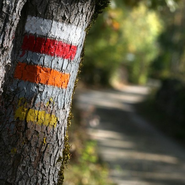 Que faire à Najac ?
