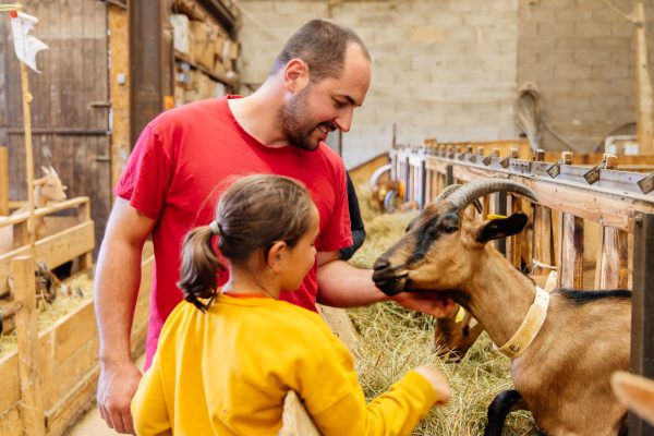 Petit Compostelle goat farm
