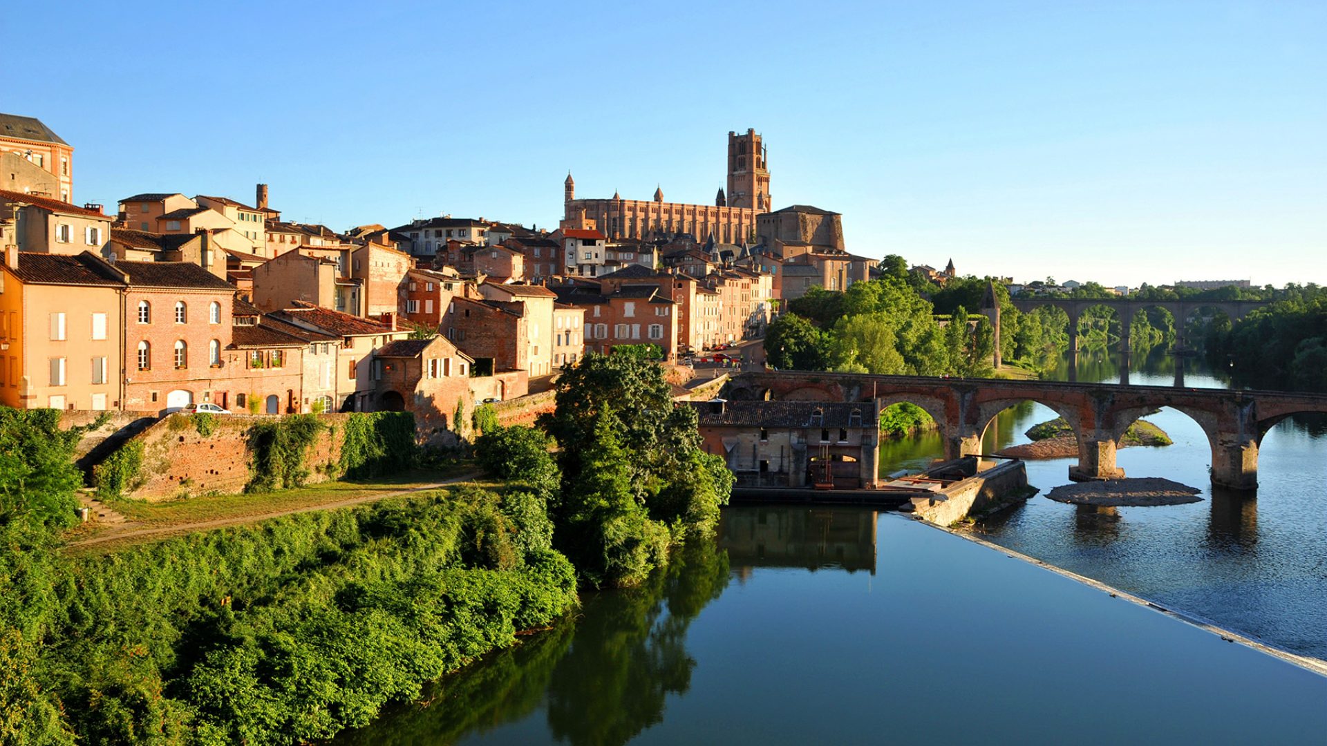 Albi