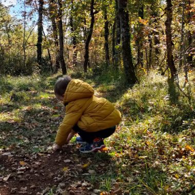 Balade en forêt