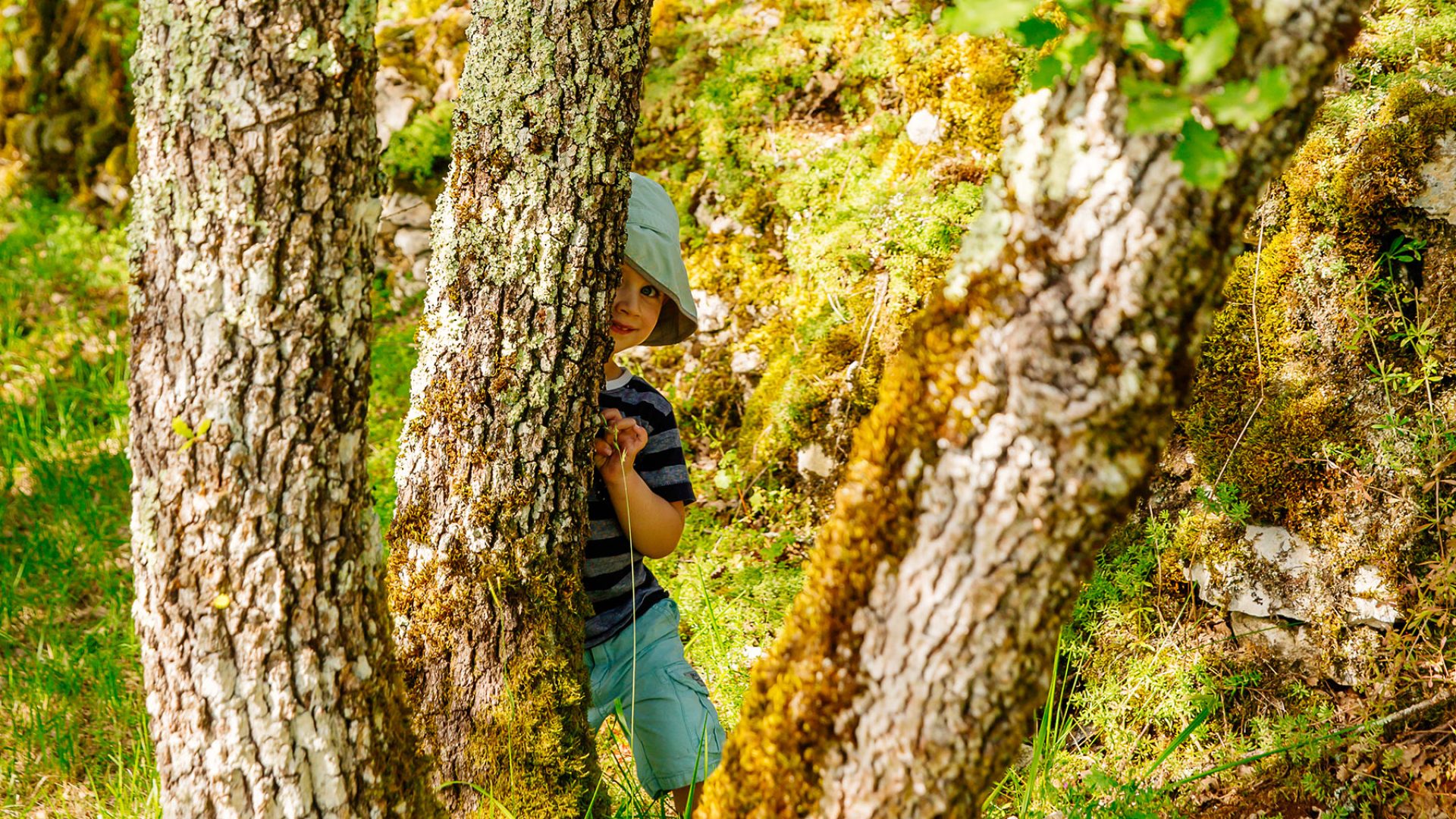 Child playing on the causse of Villeneuve d'Aveyron