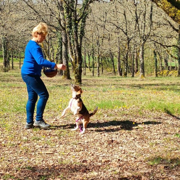 Wat te doen in Aveyron in de winter?