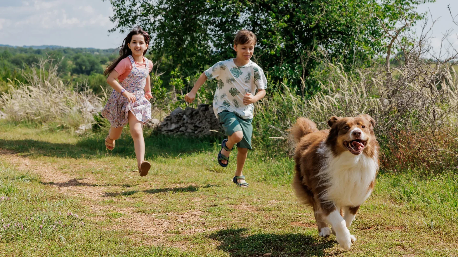 Reizen met uw hond in de Bastides en Gorges van Aveyron