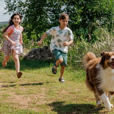 Voyager avec son chien en Bastides et Gorges de l'Aveyron