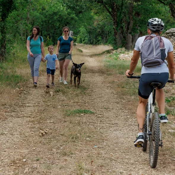 Traveling with your dog in the Bastides and Gorges of Aveyron