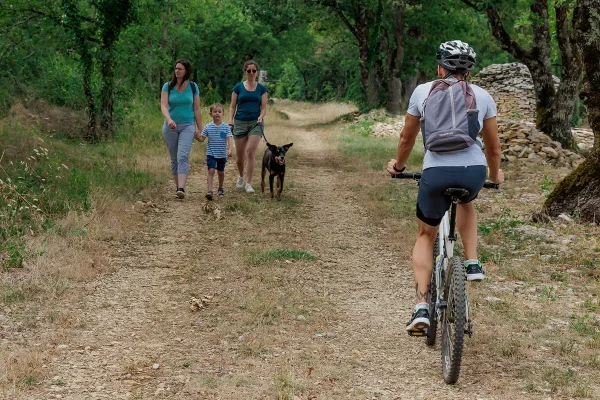 Reisen Sie mit Ihrem Hund in den Bastiden und Schluchten des Aveyron