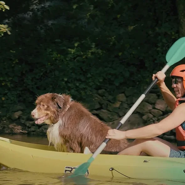 Traveling with your dog