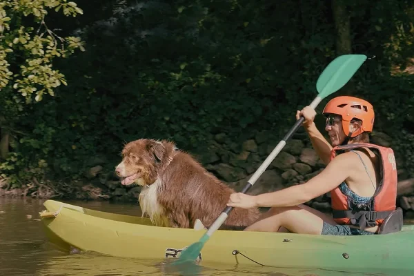 In viaggio con il tuo cane