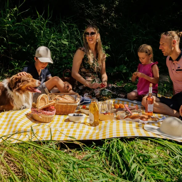 Traveling with your dog