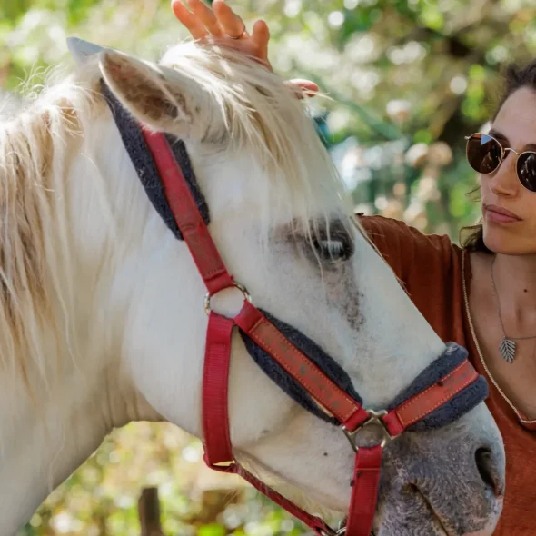 Wat te doen in Aveyron in de winter?