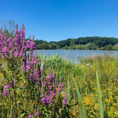 Bannac Lake – Wandern in Martiel