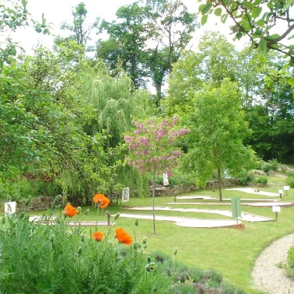 Traveling with your dog