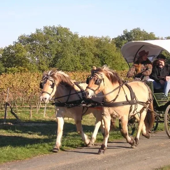 What to do with children from 0 to 3 years old?