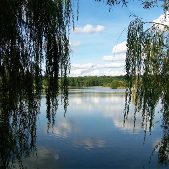 Que faire avec des enfants de 3 à 6 ans ?